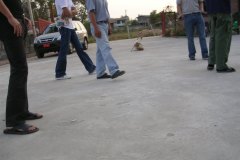 DSCN1115