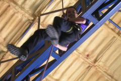 DSCN0951
