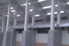 IMAG0654